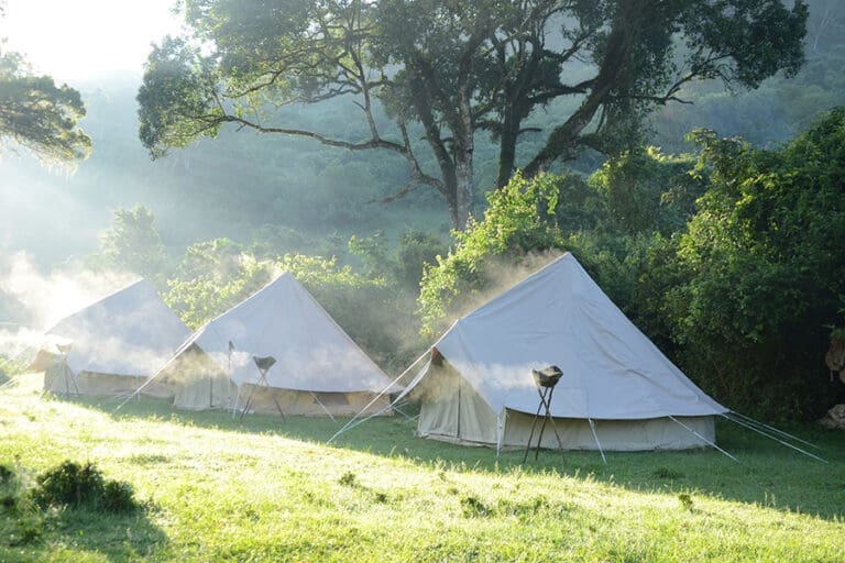 Maasai Trails Camp.