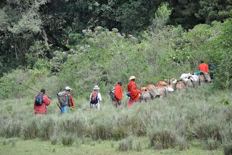 maasai-trails-camp-donkeys-15