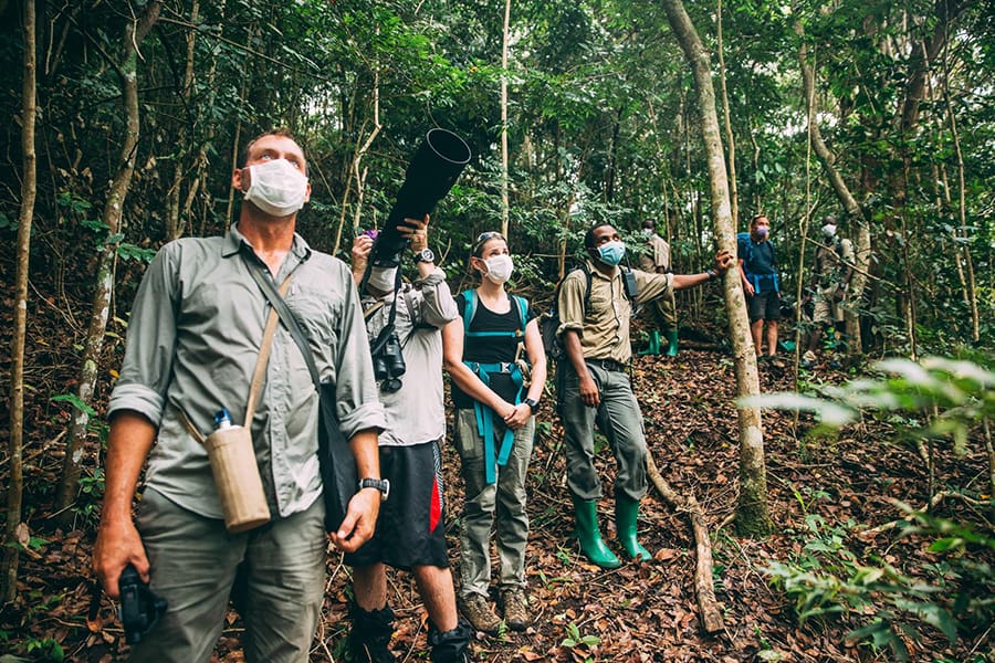 Group of people on a chimpanzee trek in Mahale National Park, Tanzania.