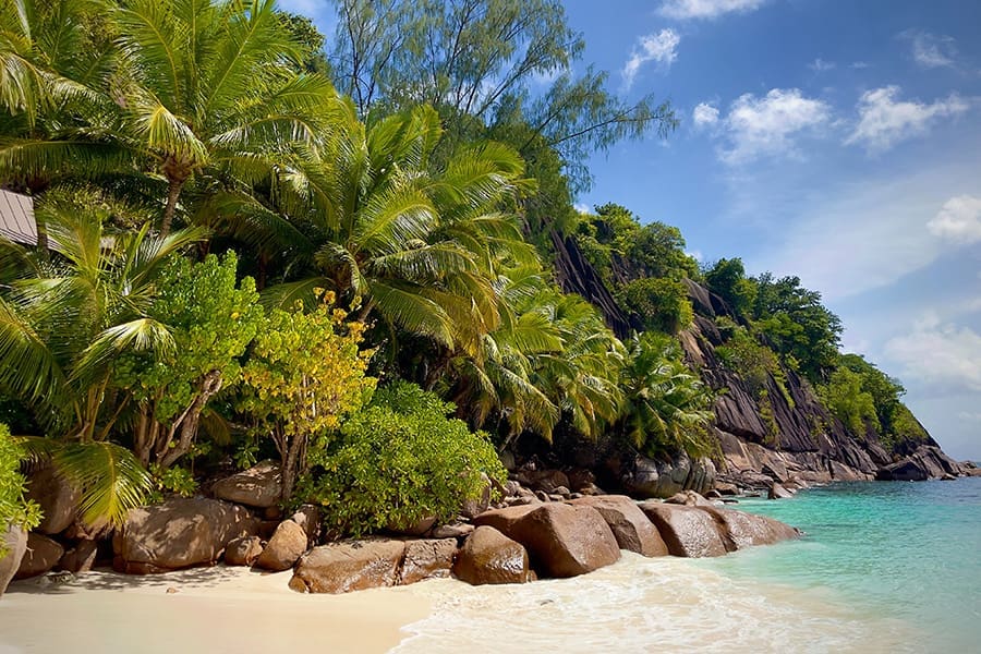 Beach and greenery on Mahe Island in Seychelles.