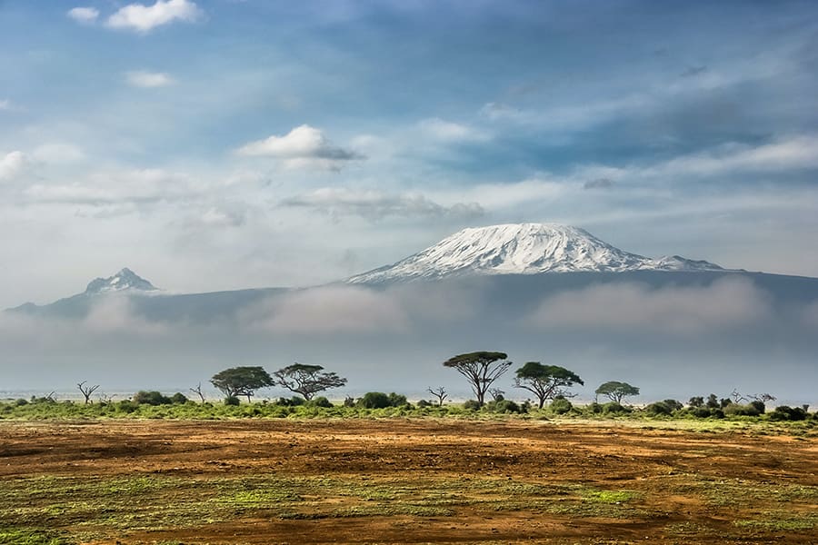 Mount Kilimanjaro in the distance of the savanna in Tanzania.