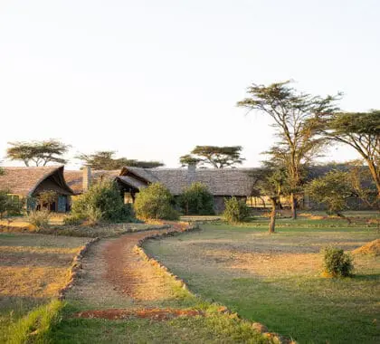 View of camp on arrival