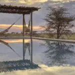 Relax in a hammock by the pool | Namiri Plains