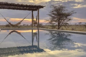 Relax in a hammock by the pool | Namiri Plains