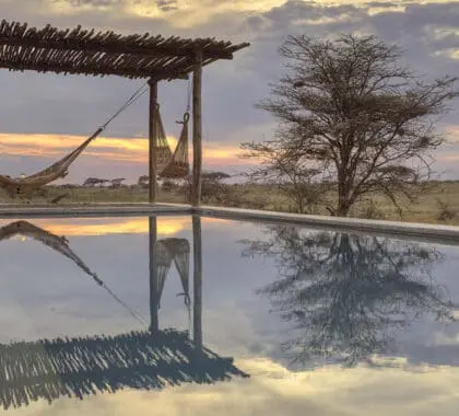 Relax in a hammock by the pool | Namiri Plains
