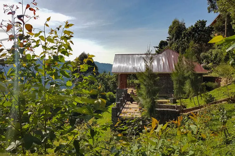 Lush green lodge gardens