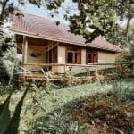 Cómodas casitas situadas en los jardines del albergue