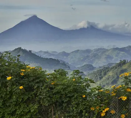 Misty forested mountain views 