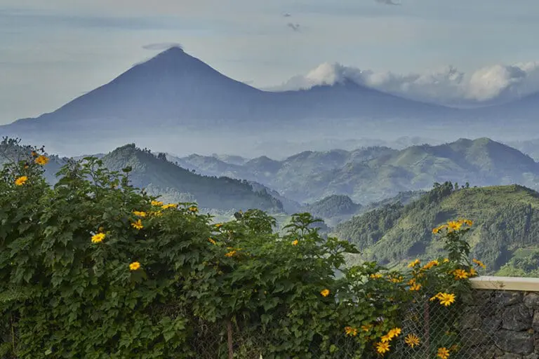 Misty forested mountain views 
