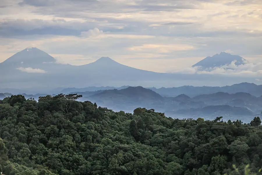 Views of Bwindi Impenetrable Forest from Nkuringo Bwindi Gorilla Lodge