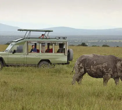 Rhino game viewing experience at Ol Pejeta