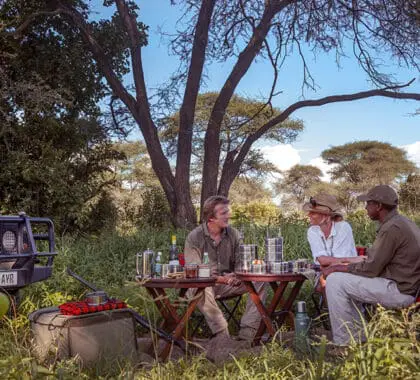 Picnics in the bush.