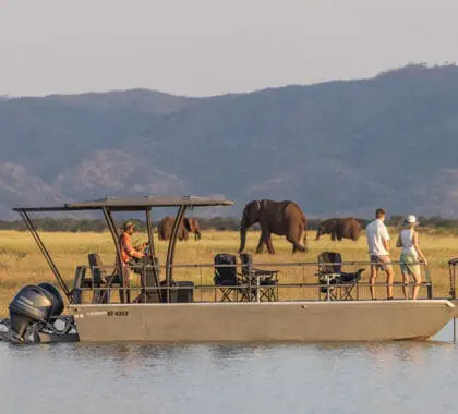 Explore on a pontoon boat. 