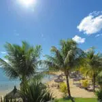 Soak up the sunshine. 