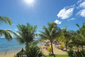 Soak up the sunshine. 