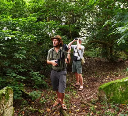 Trek for chimps on hidden gem, Rubondo Island.