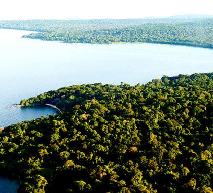 Aerial landscape shot of Rubondo Island in Tanzania.