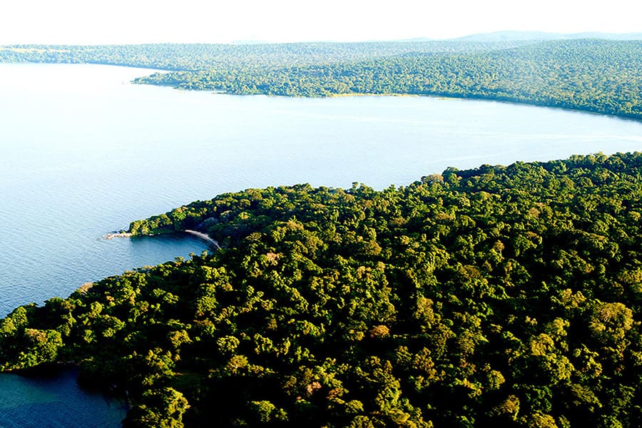 Aerial landscape shot of Rubondo Island in Tanzania.