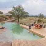 Sit poolside and enjoy the wilds around you. 