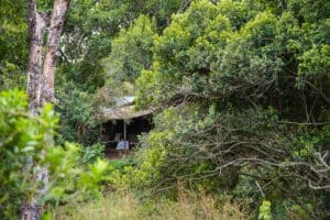 spekes-camp-780_2448