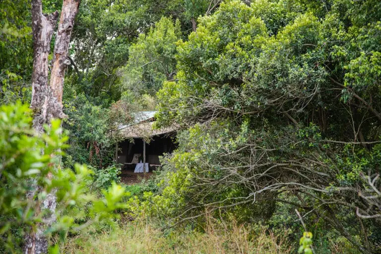 spekes-camp-780_2448