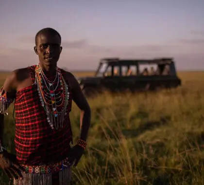 Los expertos guías masai compartirán con usted sus conocimientos generacionales del Mara durante los safaris.