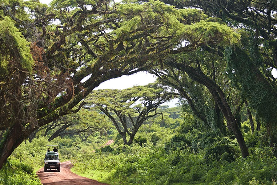 Safari vehicle drives through the Ngorongro Conservation Area in Tanzania.