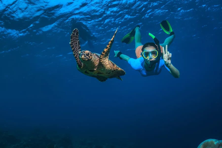 Enjoy incredible underwater life just off the island shores. 