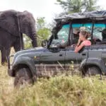 Excepcionales encuentros con la fauna salvaje. 