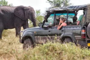 Excepcionales encuentros con la fauna salvaje. 