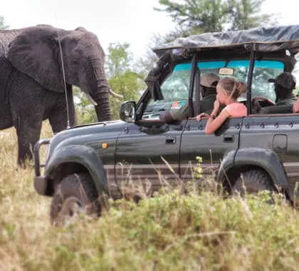 Exceptional wildlife encounters. 