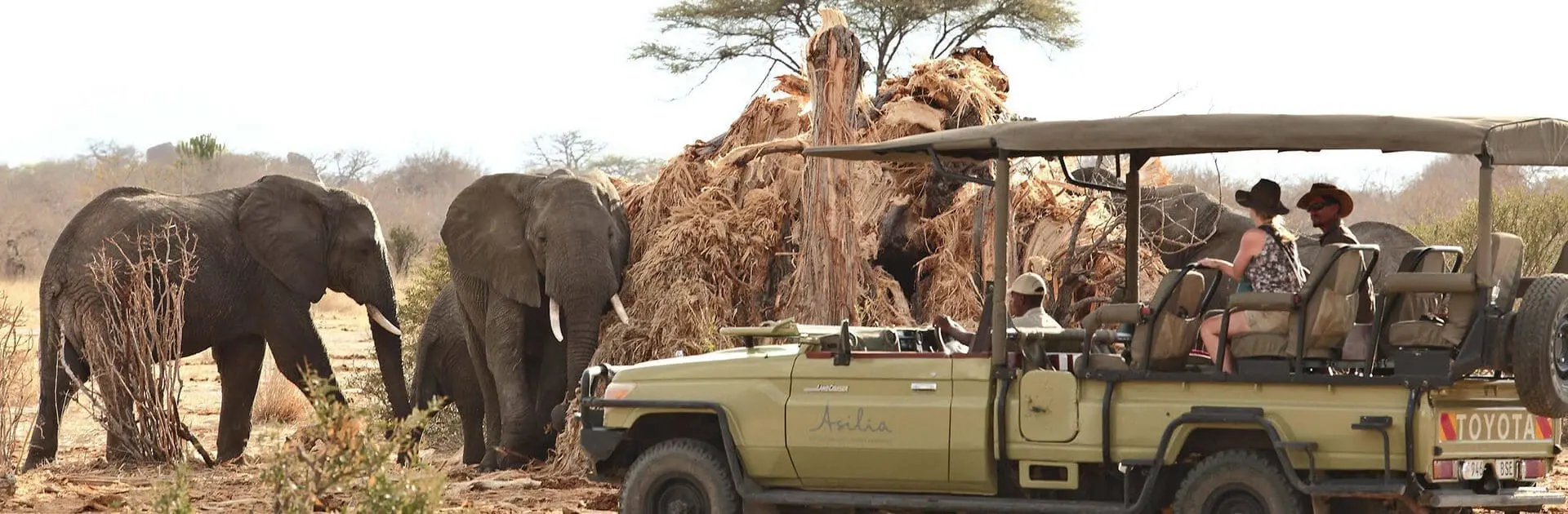 Sur del Serengeti, Tanzania | Go2Africa