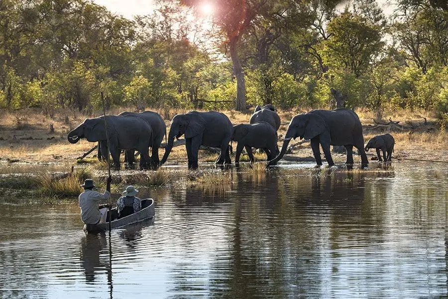 Glide along in a Mokoro. 