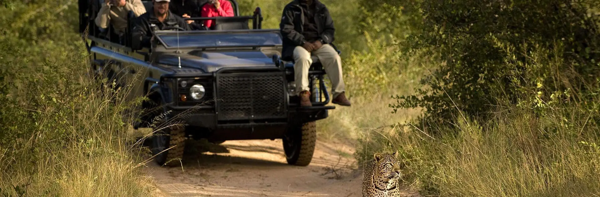 Reserva de caza Sabi Sand, Sudáfrica | Go2Africa