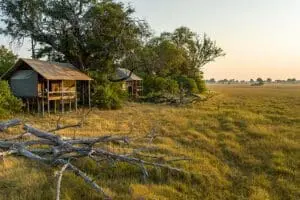 Stilted rooms overlooking the Okavango plains