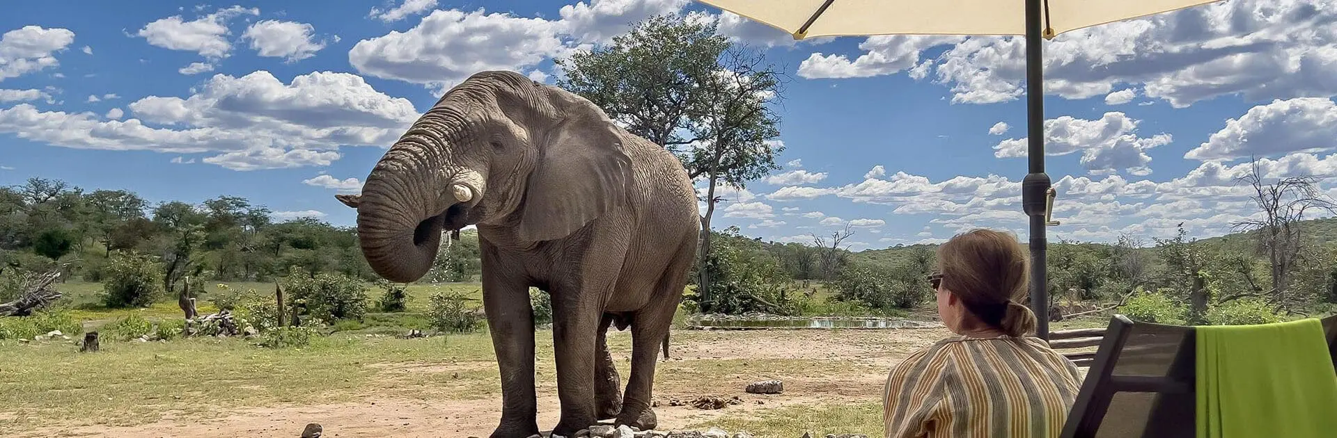 Parque Nacional de Etosha, Namibia | Go2Africa