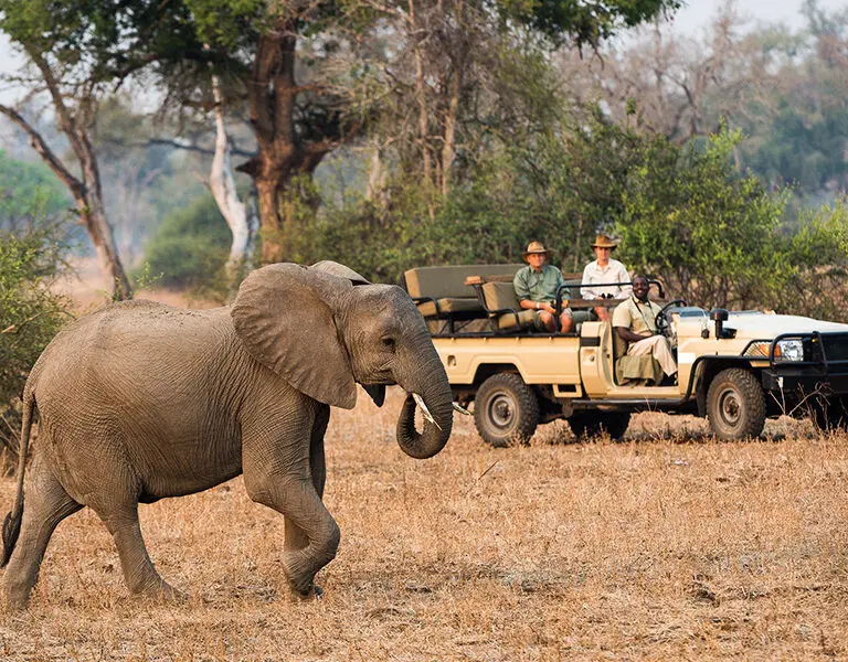 Game drives in South Luangwa National Park.