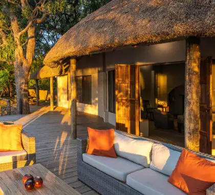 robins-house-zambia-south-luangwa-banner-1