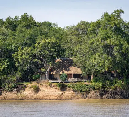 Set on the Luangwa River. 