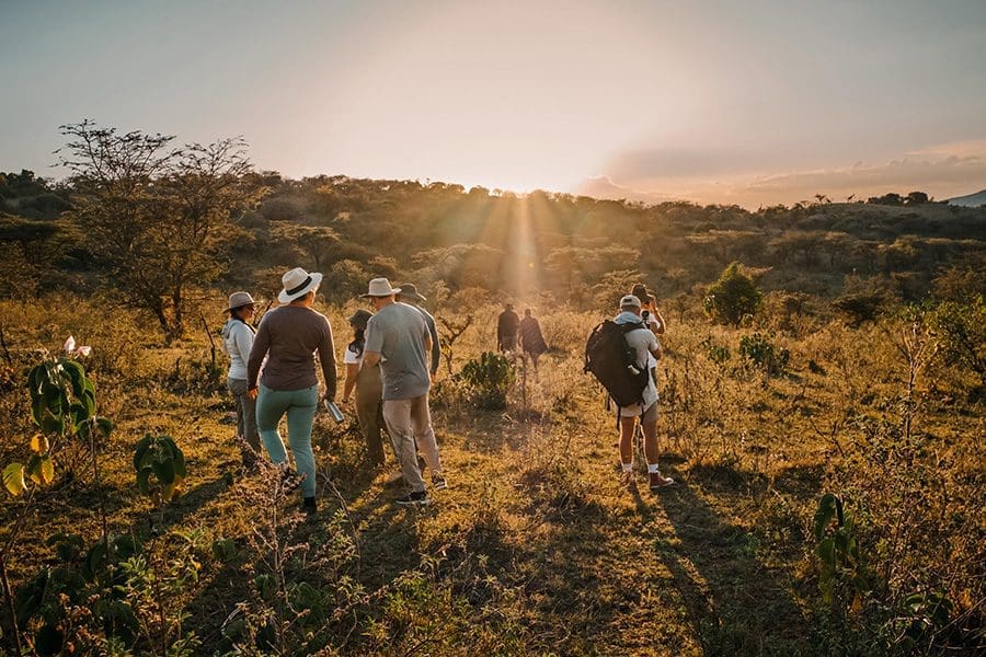 A small group gathered at golden hour out in nature at Taasa Lodge | Go2Africa