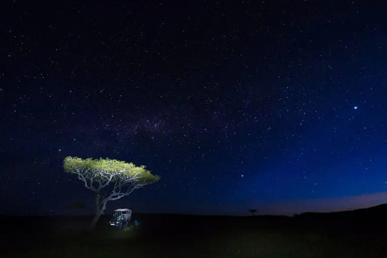 Night drives on the concession.