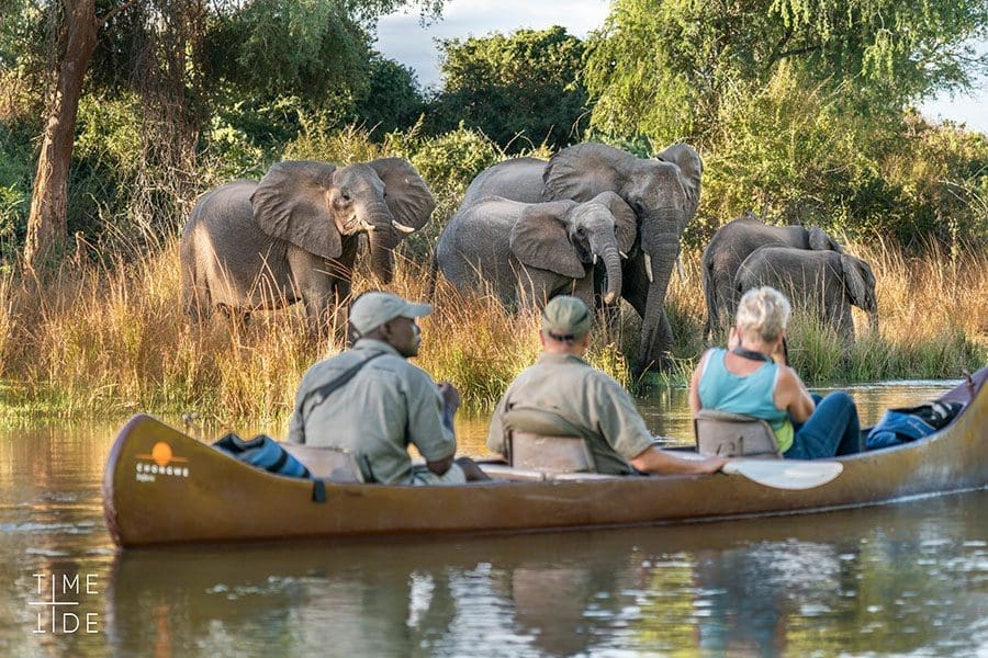 time-tide-lower-zambezi-activites-9-scaled