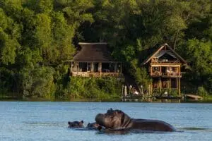 Exceptional views at Tongabezi Lodge. 