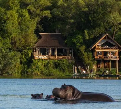 Exceptional views at Tongabezi Lodge. 