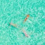 Pase los días nadando en aguas azules.