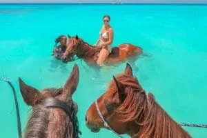 For the adventurous, horse-riding is the perfect adventure. 