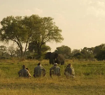 Walking safaris are a unique experience. 
