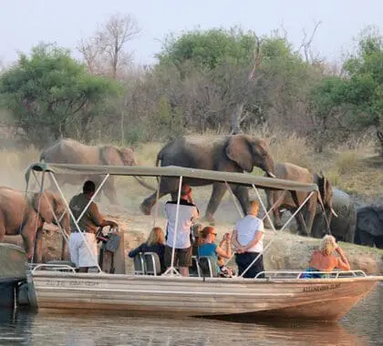 Sunset cruise at Waterberry.