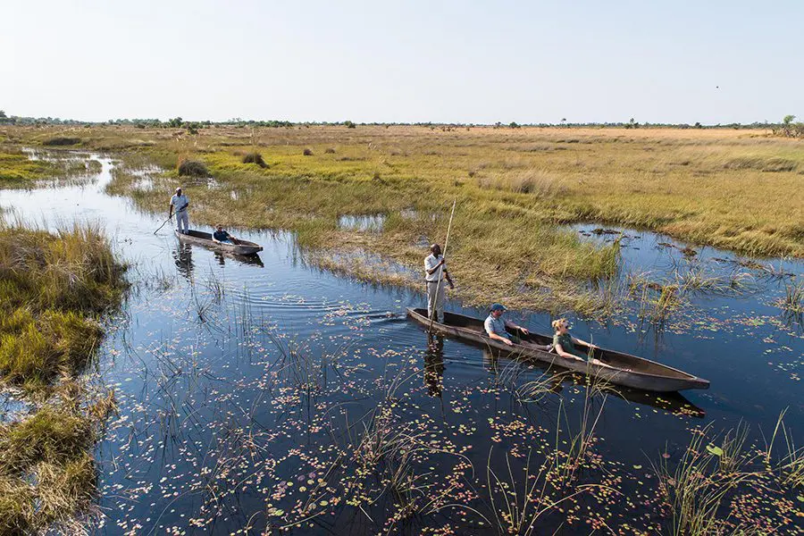 Two mokoro canoes glide along the Okavango Delta | Camp Okavango