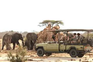 Jabali Ridge Game drive with elephants.